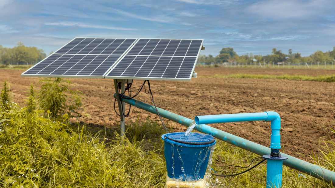 Solar Power on the Farm: Harnessing the Sun for Irrigation and Beyond