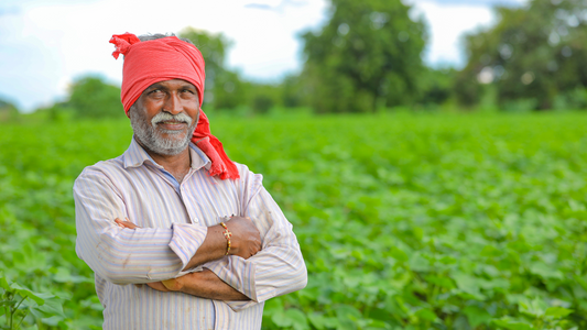 छोटी जोत, बड़े सपने: भारत के सीमांत किसानों के लिए उत्पादकता बढ़ाना - Small Landholdings, Big Dreams: Maximizing Productivity for India's Marginal Farmers in Hindi