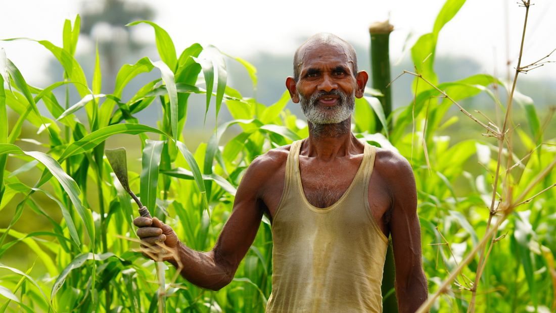 Decoding Your Grandparents' Farming Wisdom: Ancient Techniques Still Rock