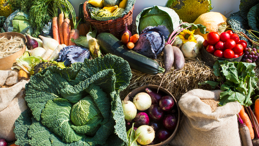 Beyond Grains: India's Flourishing Farm Diversification into High-Value Crops