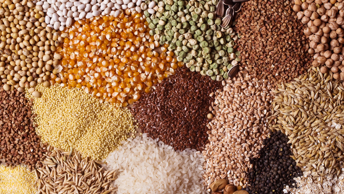 Ancient Grains: The Resurgence of Millets and Jowar