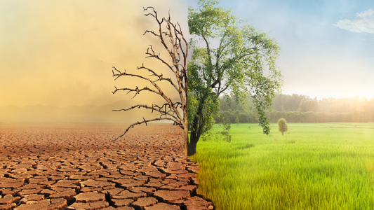जलवायु परिवर्तन और भारतीय किसानों पर इसका प्रभाव : Climate Change and Its Impact on Indian Farmers