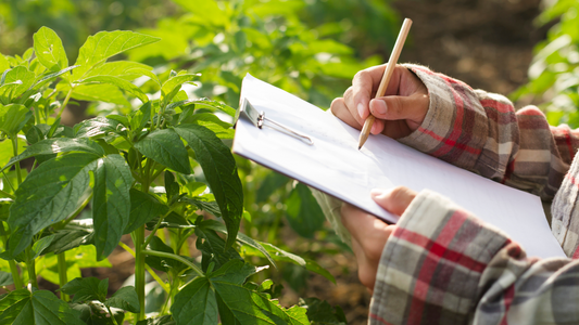 भारत में कृषि शिक्षा का भविष्य : The Future of Agri-Education in India in Hindi