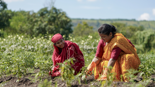 The Role of Women in Indian Agriculture