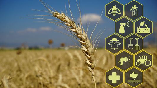 Climate-Smart Agriculture for Sustainability