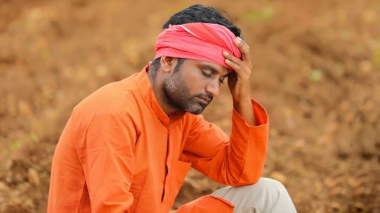 The Silent Scourge: Unraveling the Economic, Social, and Psychological Dimensions of Farmer Distress and Suicides in India