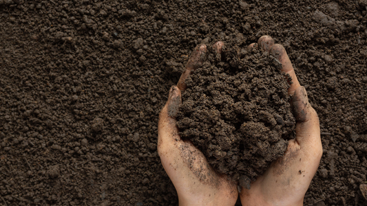 Unlock Your Garden's Potential: Simple DIY Methods for Soil Analysis