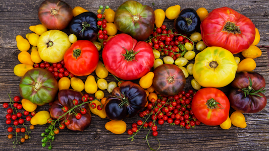 Heirloom Heroes: Preserving and Growing Heritage Seeds