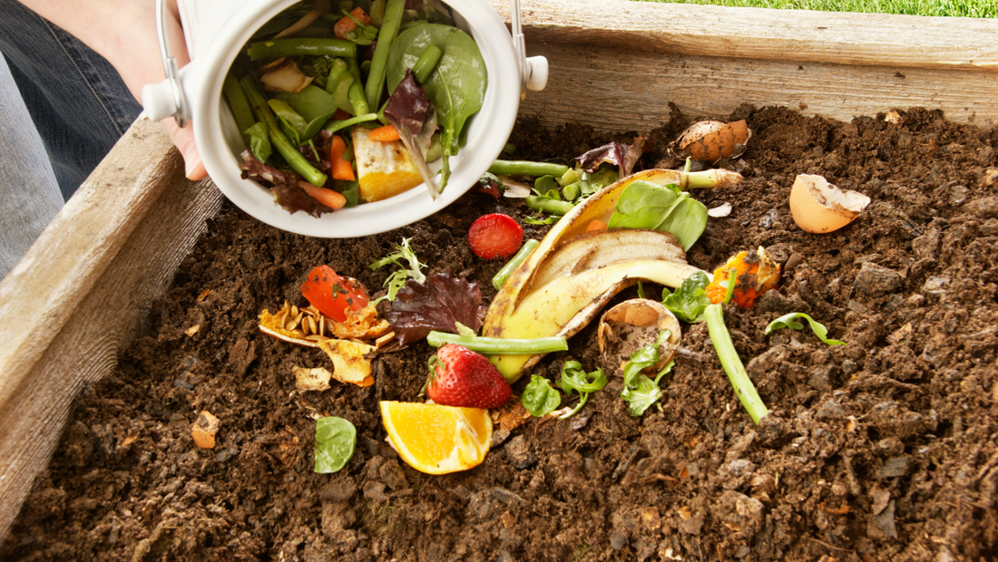 The Beginner's Guide to Composting: Turning Kitchen Scraps into Garden Gold