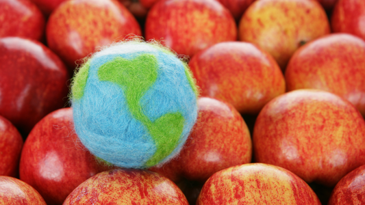 The True Cost of 'Cheap': Why Imported Produce Isn't Always a Bargain When You Factor in Subsidies and Logistics