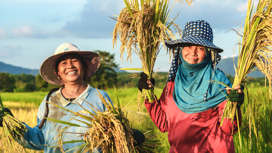 The Silent Guardians: Unsung Contributions of Women in Indian Agriculture