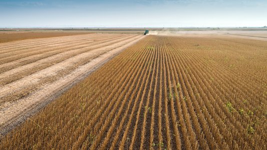 मिट्टी और सूर्य की भूमिका: अगली फसल के लिए सर्दियों का मौसम कैसे मंच तैयार करता है
