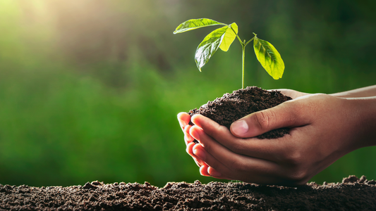 मिट्टी का स्वास्थ्य संकट: किसानों के जीवन को बेहतर बनाने के लिए सरकारी समाधान