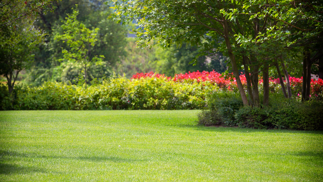 The Art of Composting: Turning Waste into Gold