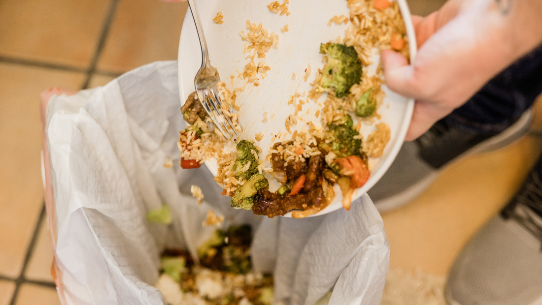The Food Waste Paradox: From Farm to Fork, The Unseen Losses