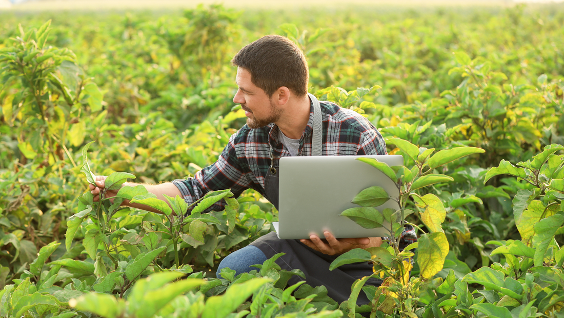 The Green Thumbs of Gen Z: How Young Indians Are Redefining Farming