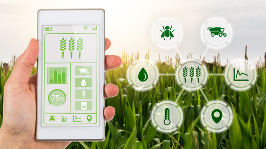 The Digital Ploughshare: How Mobile Apps are Empowering Farmers for Planning and Management