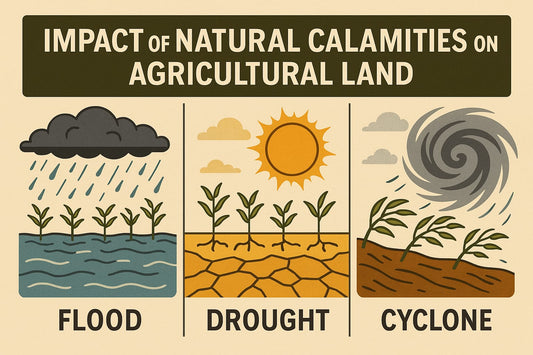 🌾 Impact of Natural Calamities on Agricultural Land: Challenges, Realities & The Way Forward